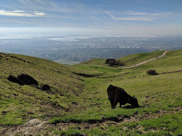 Mission Peak Trail Head